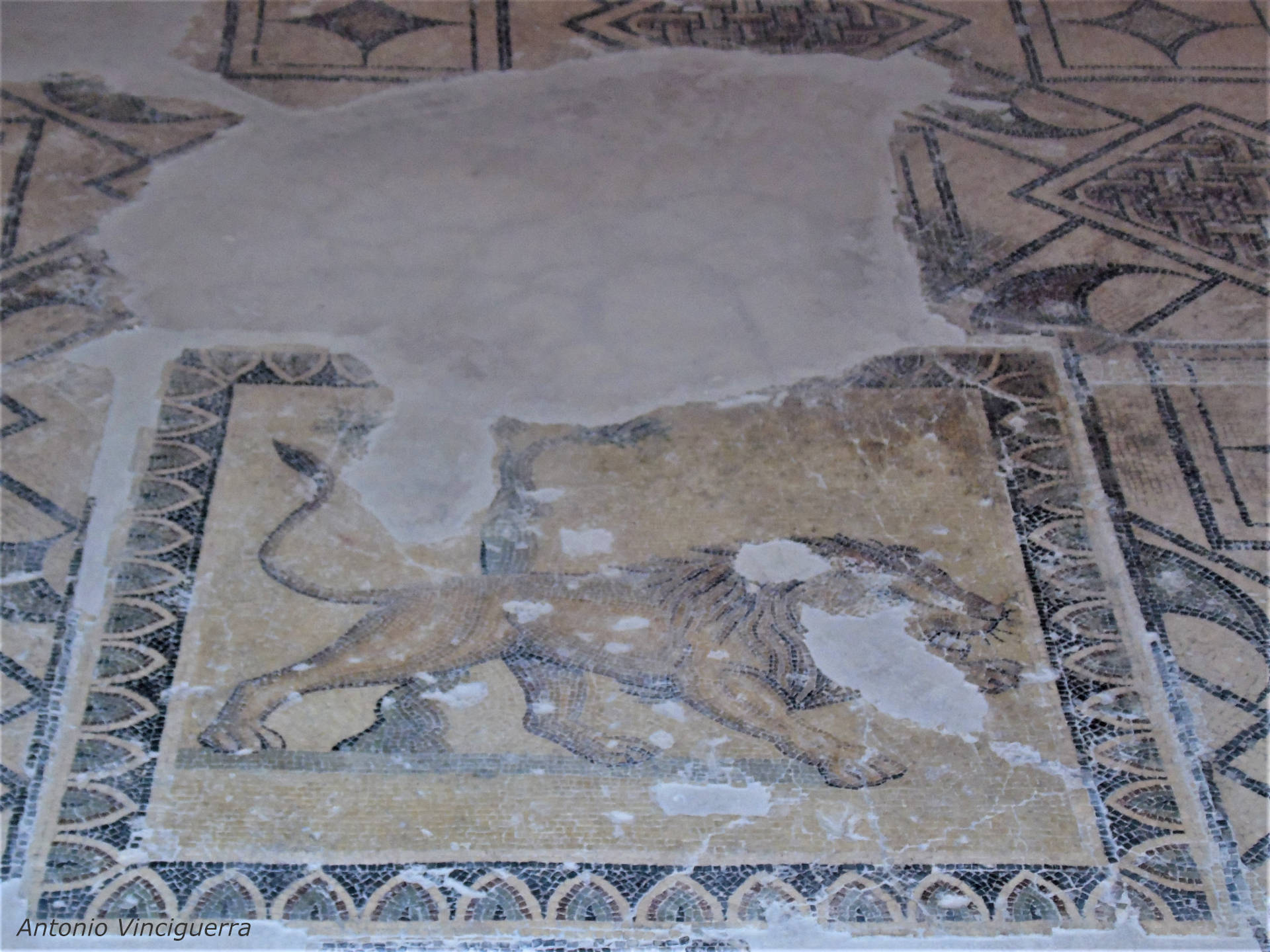 larino mosaic Roman villa campobasso molise